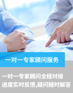 一对一专家顾问服务